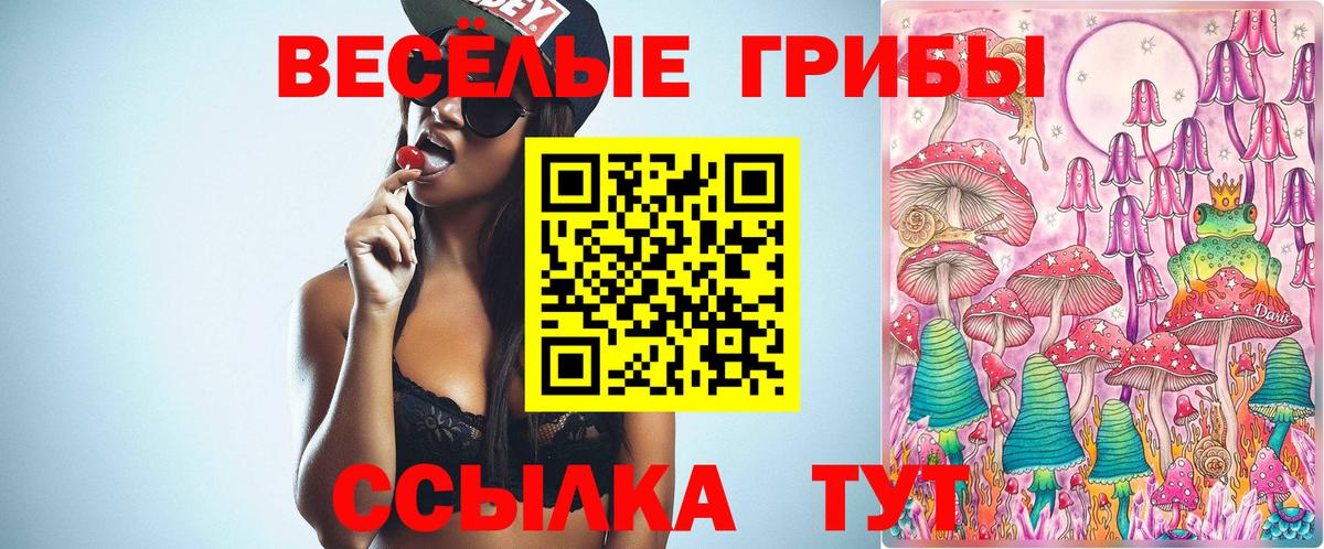 Кудымкар  Галлюциногенные грибы Magic Shrooms  Вход с VPN 